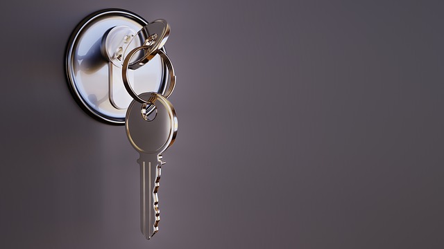 Tout savoir sur la serrures de porte